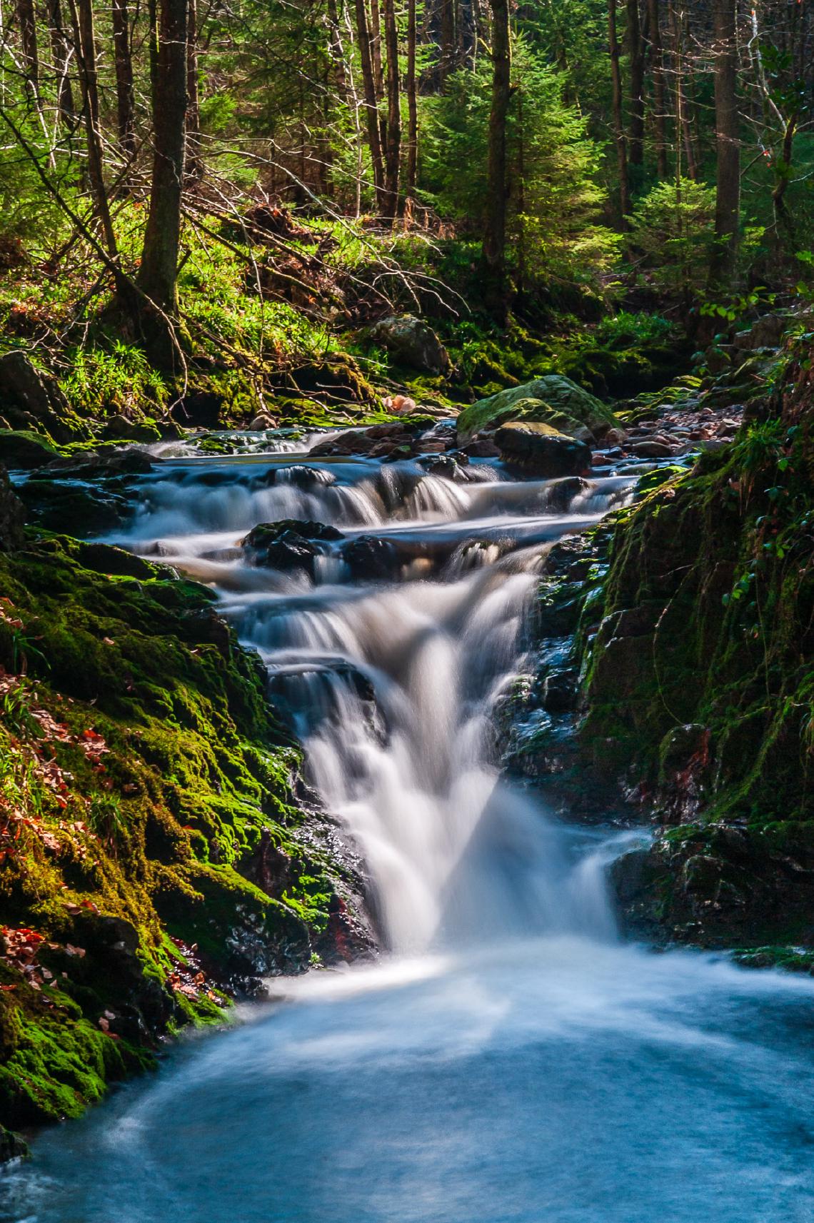 Foto van zaterdag 30 maart 2019 uit Landschap & natuur door Paul Winnen