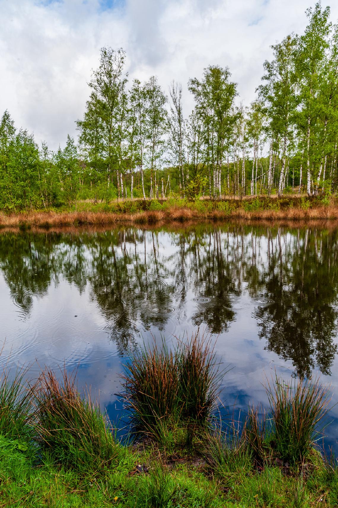 Foto van zaterdag 27 april 2019 uit Landschap & natuur door Paul Winnen